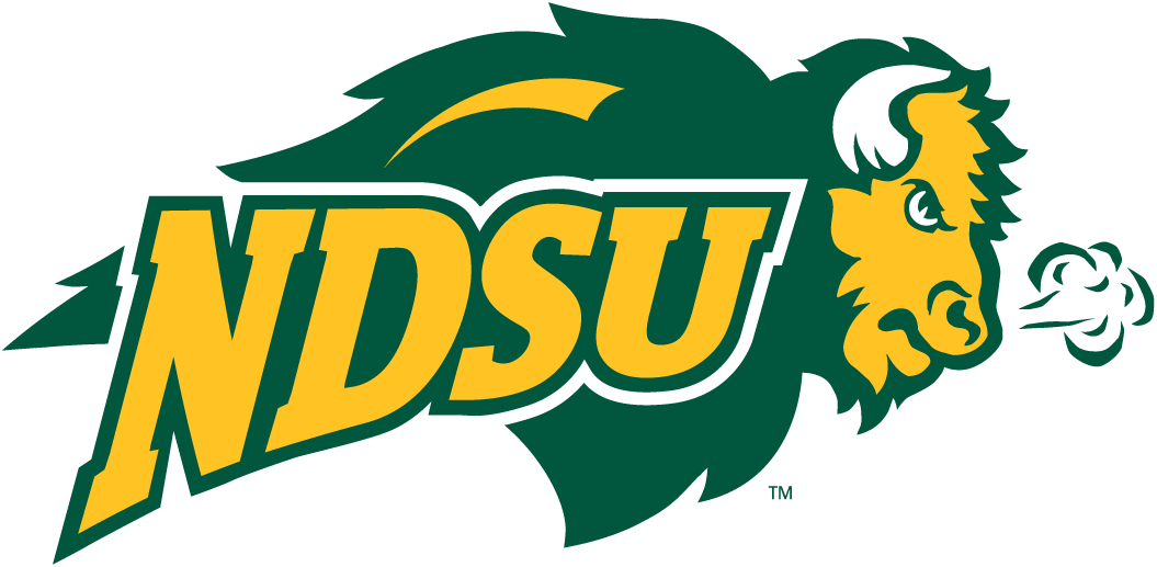 North Dakota State Bison 2005-2011 Secondary Logo v2 DIY iron on transfer (heat transfer)